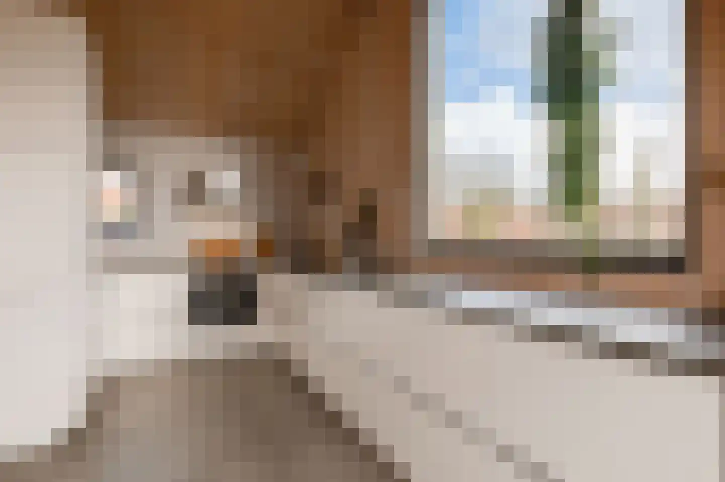 Keldermanspad 11 Rhenen thumbnail 42