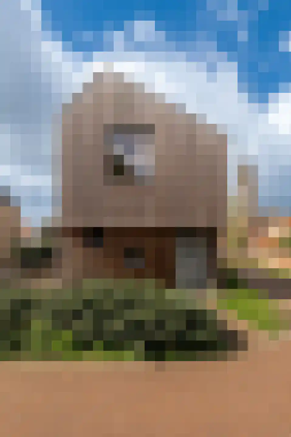 Keldermanspad 11 Rhenen thumbnail 6