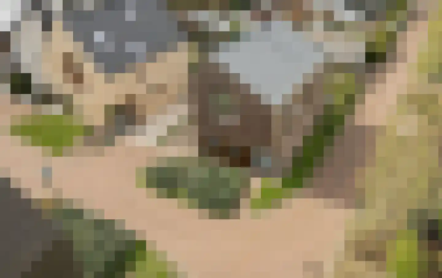 Keldermanspad 11 Rhenen thumbnail 63