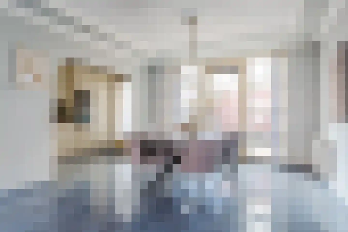 Keldermansstraat 100 Eindhoven thumbnail 17