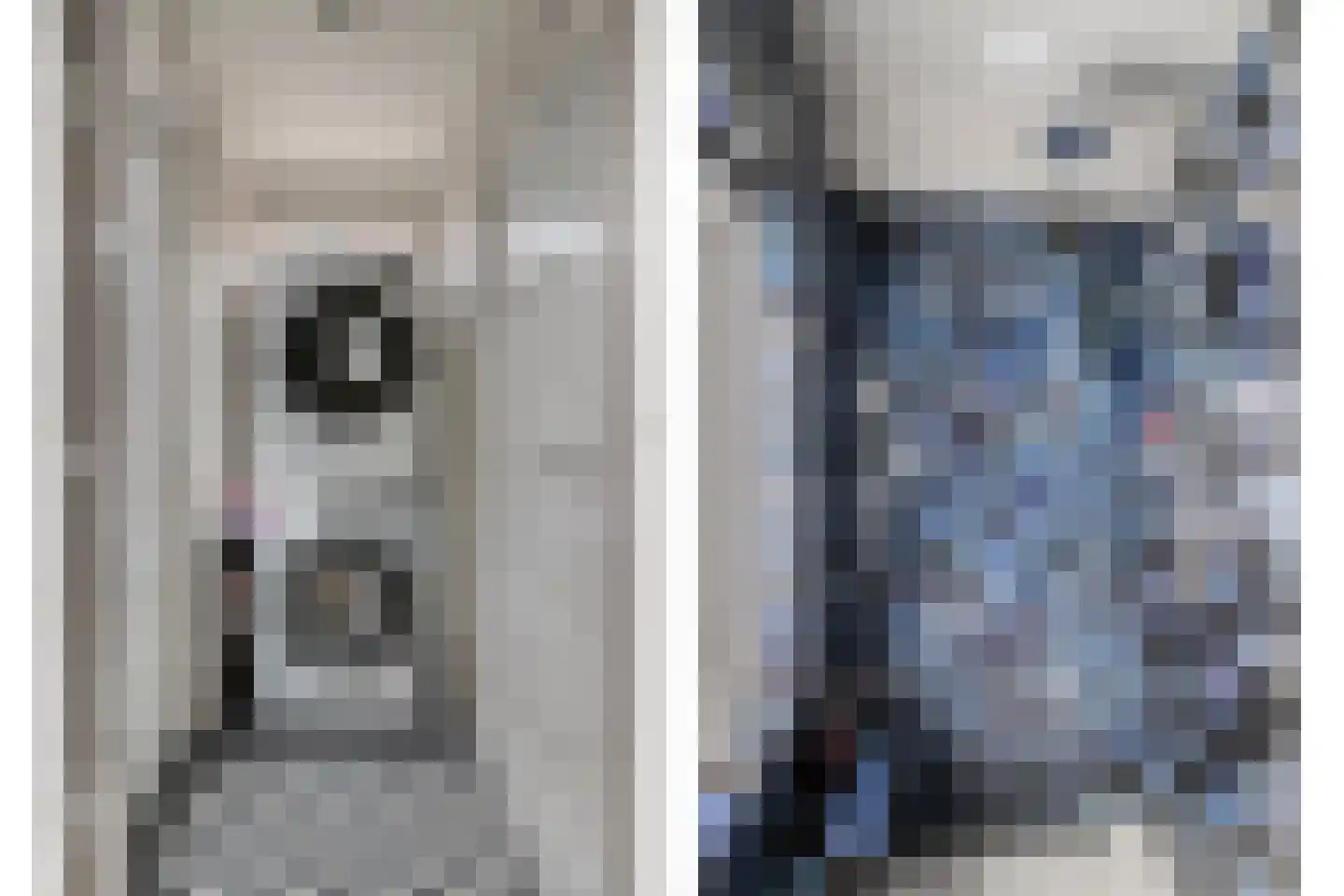 Keldermansstraat 51 Tilburg thumbnail 27