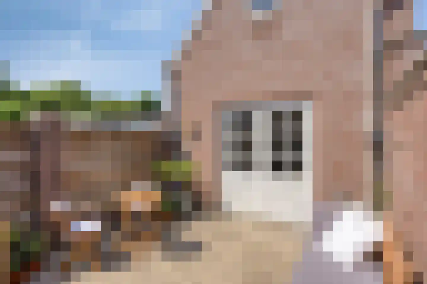 Keldermansstraat 51 Tilburg thumbnail 32