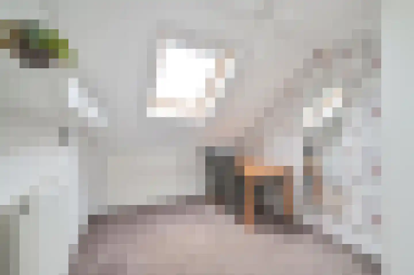 Kelderskamp 3 Putten thumbnail 23