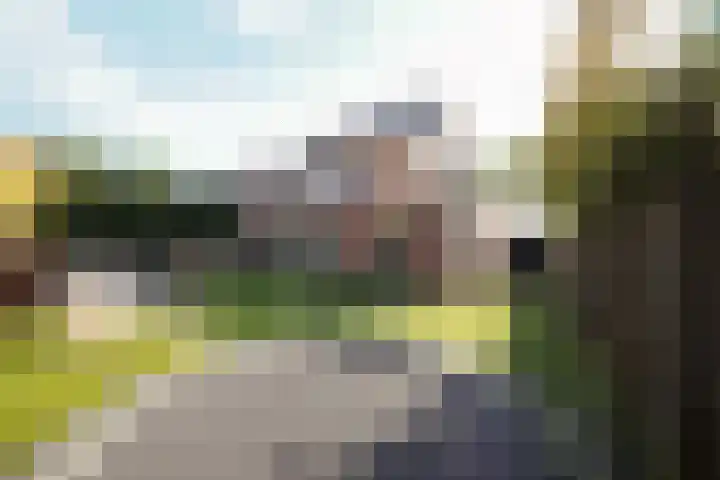 Kelderskamp 36 Putten thumbnail 27