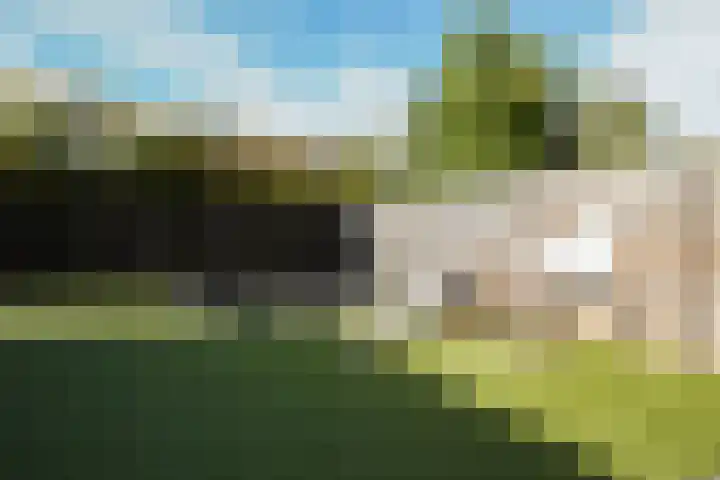 Kelderskamp 36 Putten thumbnail 29