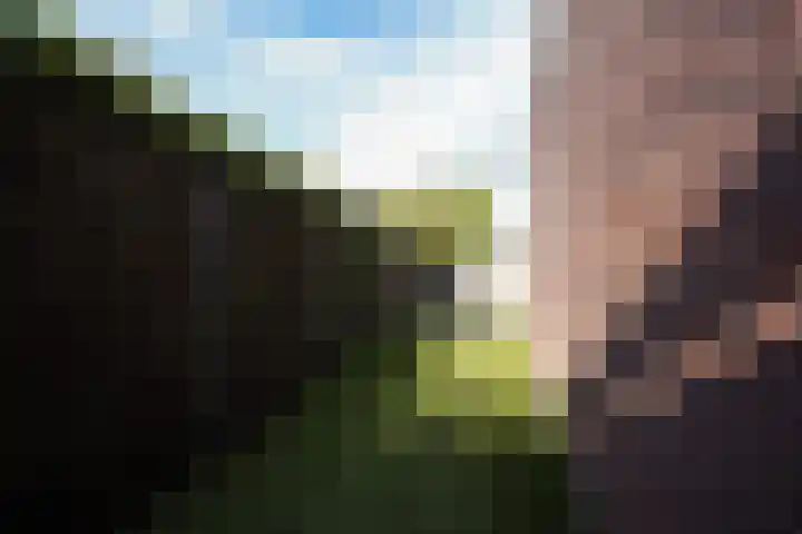 Kelderskamp 36 Putten thumbnail 31