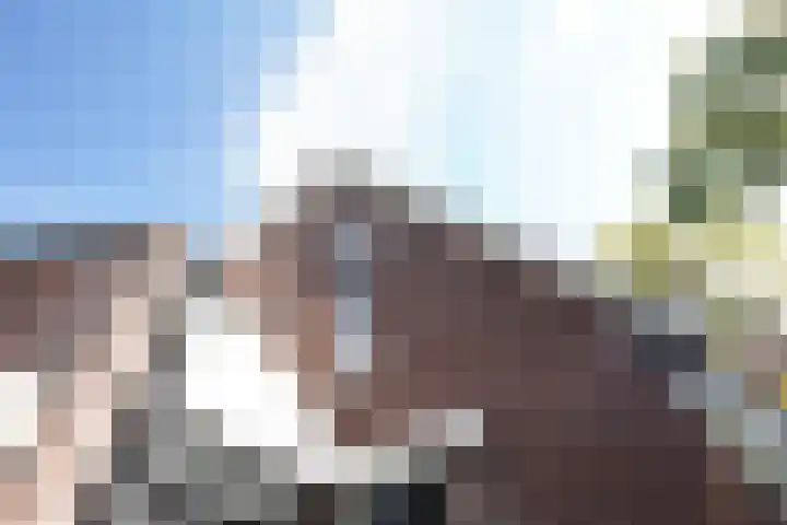 Kelderskamp 36 Putten thumbnail 4
