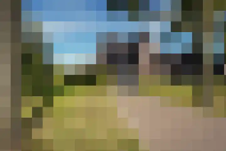 Kelderskamp 36 Putten thumbnail 55