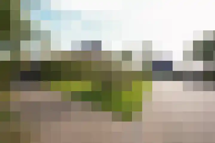 Kelderskamp 36 Putten thumbnail 56