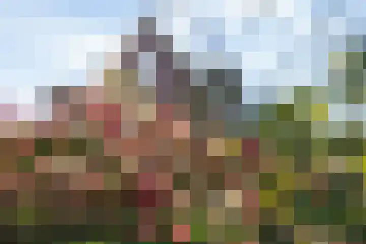 Kelderskamp 36 Putten thumbnail 57