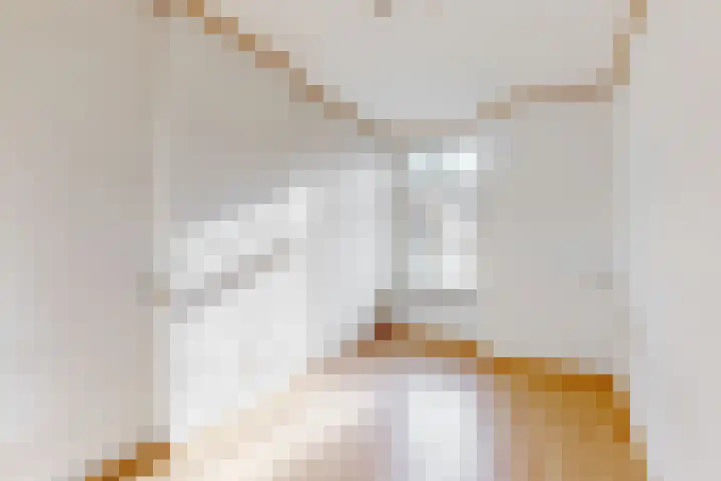 Kelderstraat 27 Stein thumbnail 17