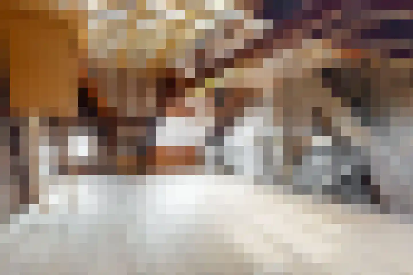 Kelderstraat 27 Stein thumbnail 22