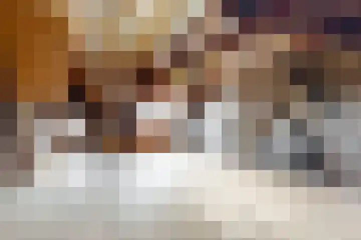Kelderstraat 27 Stein thumbnail 22