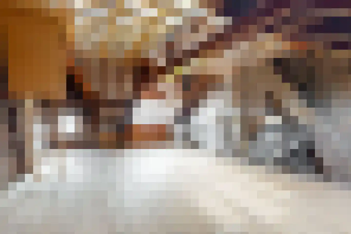 Kelderstraat 27 Stein thumbnail 23