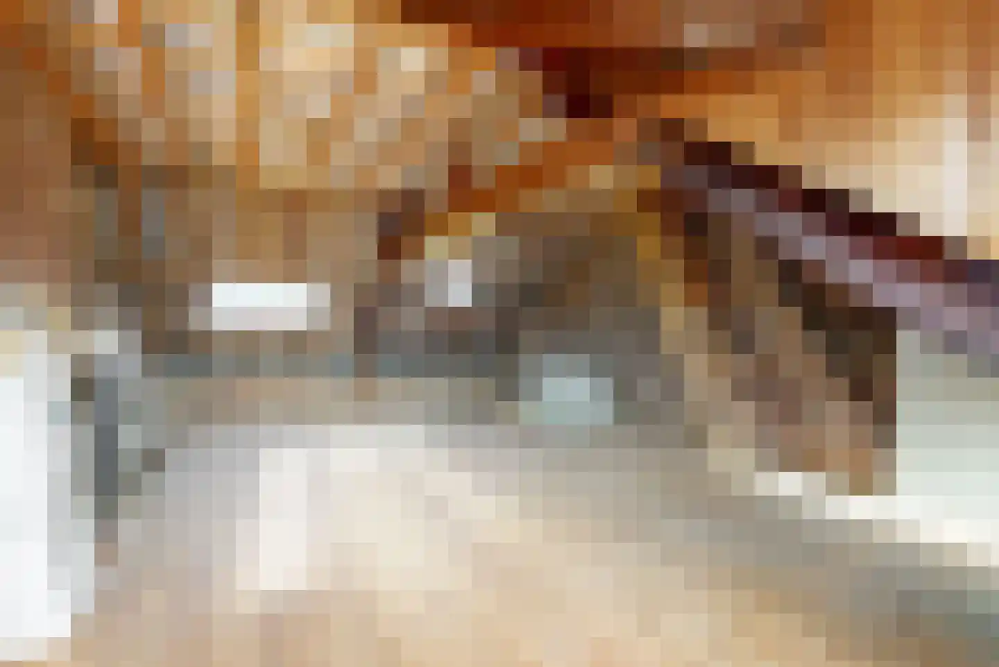 Kelderstraat 27 Stein thumbnail 25
