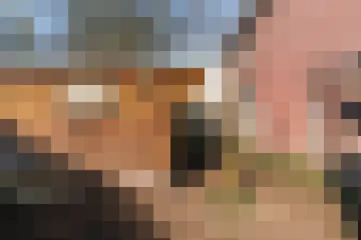 Kelderstraat 27 Stein thumbnail 26