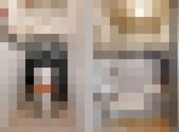 Kelderstraat 27 Stein thumbnail 5