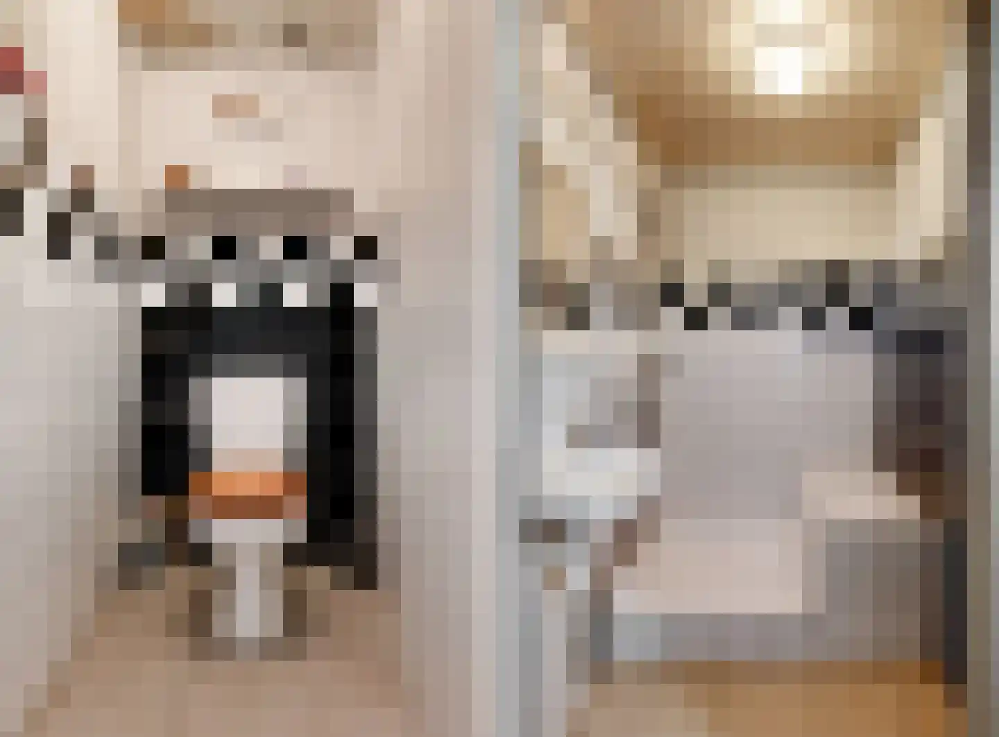 Kelderstraat 27 Stein thumbnail 6