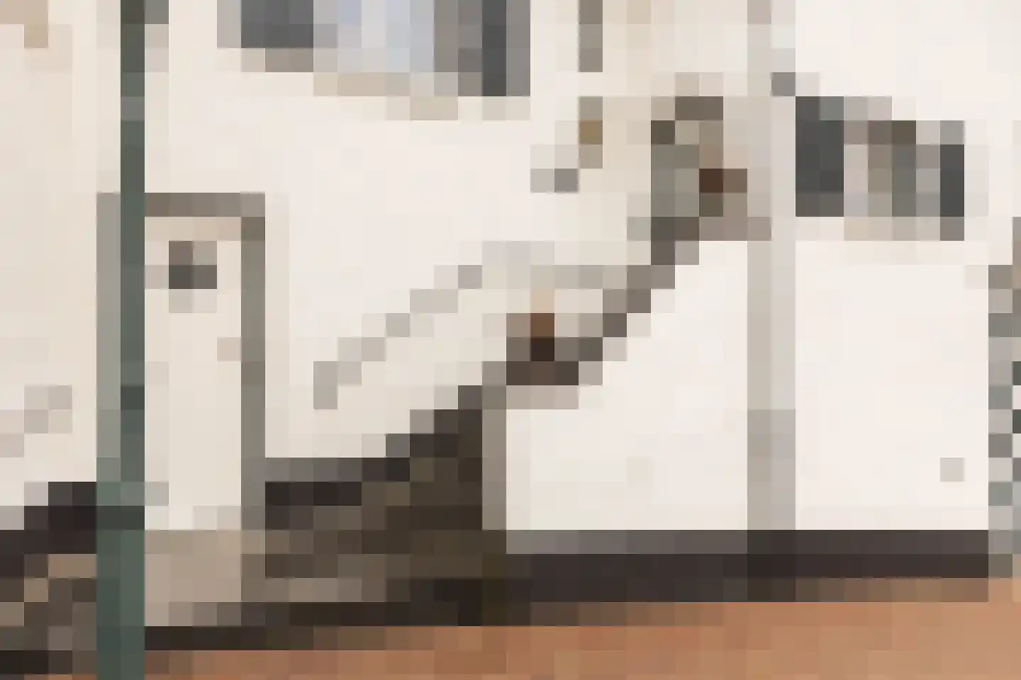 Kelderstraat 4 Stein thumbnail 10