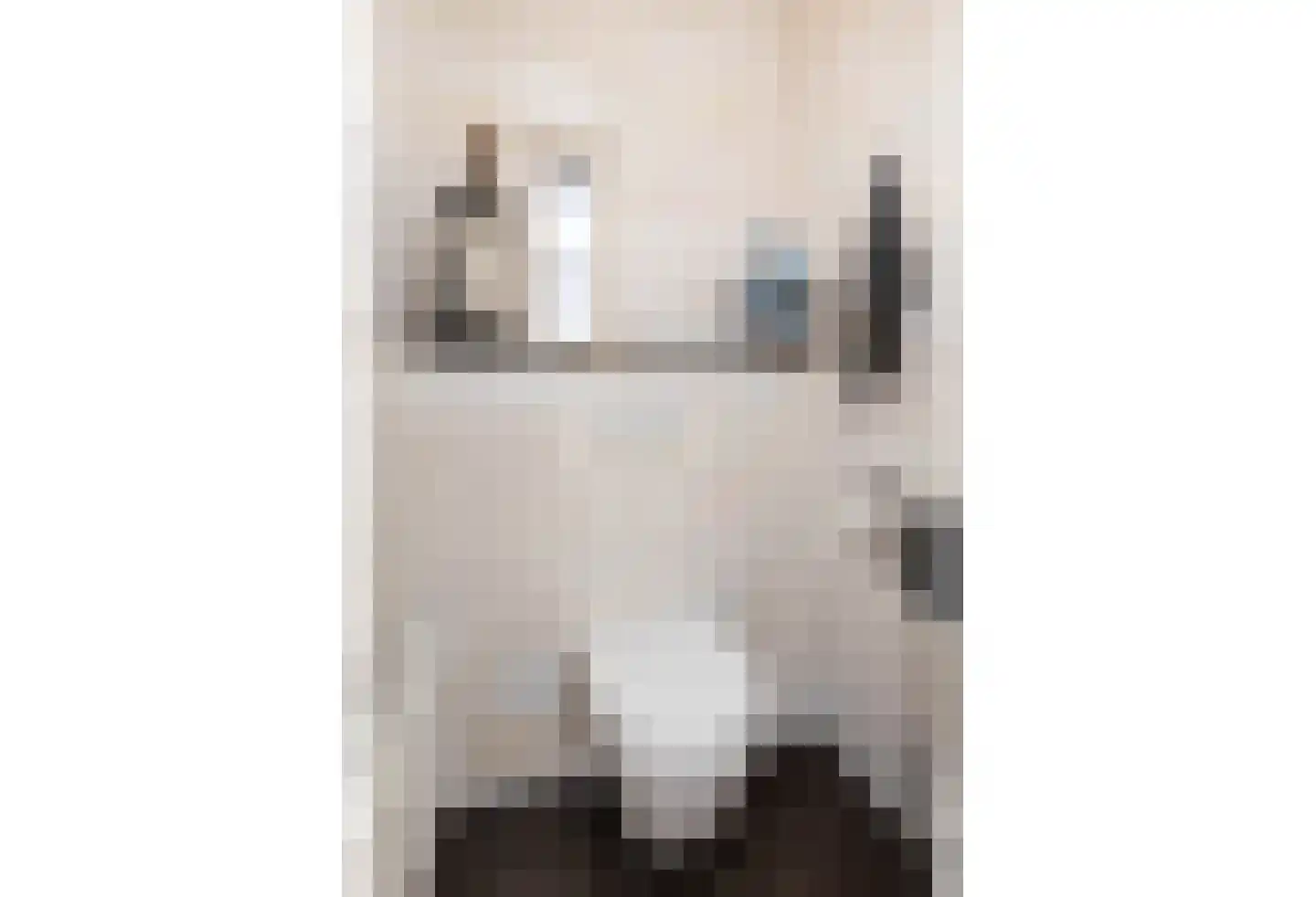 Kelderstraat 4 Stein thumbnail 19