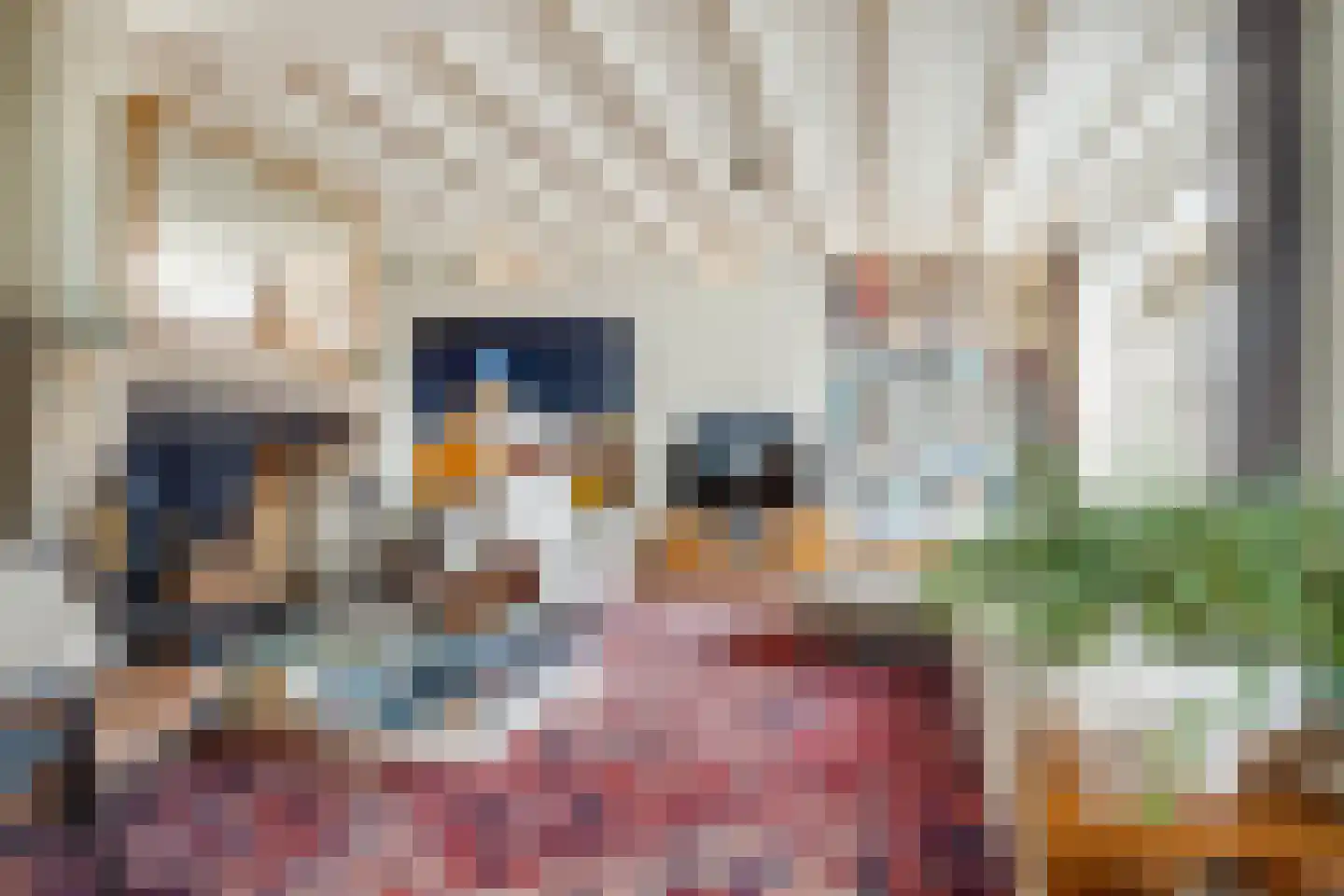 Kelderstraat 4 Stein thumbnail 21