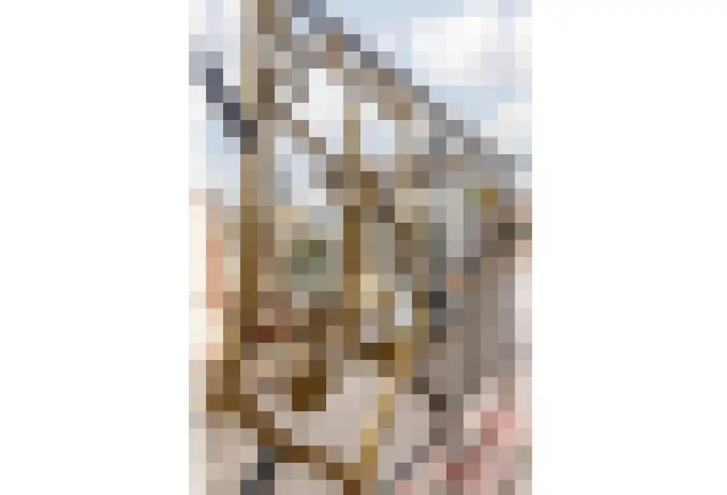 Kelderstraat 4 Stein thumbnail 33