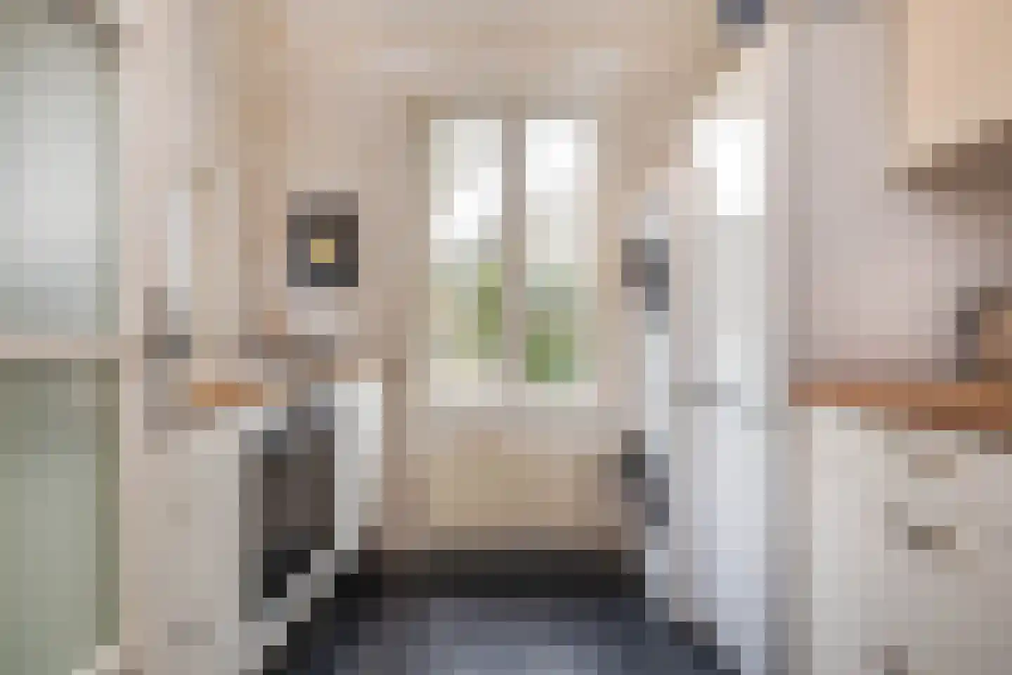 Kelderstraat 4 Stein thumbnail 34