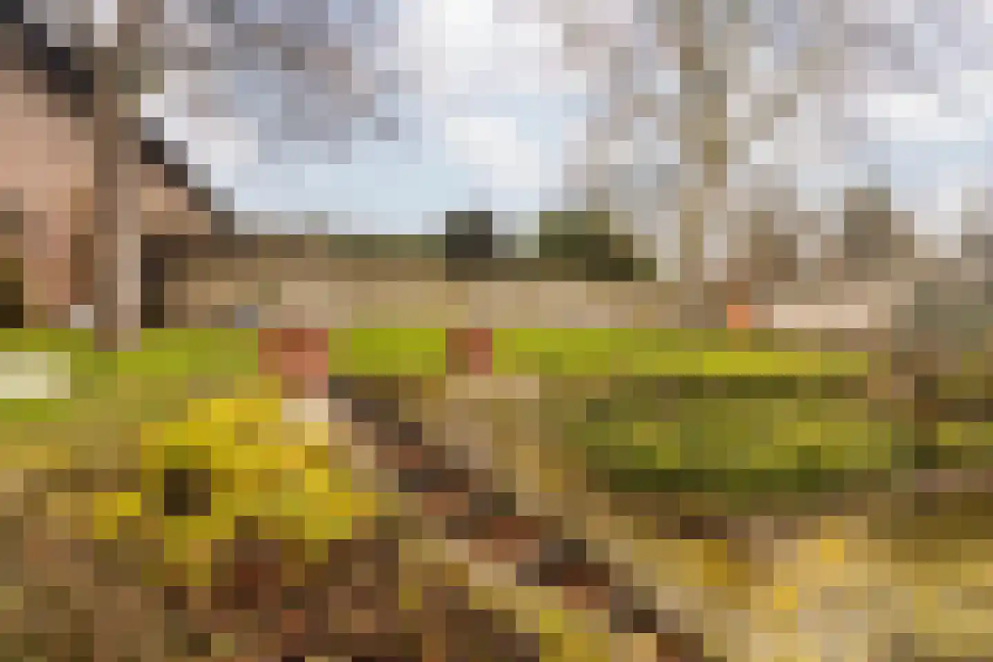 Kelderstraat 4 Stein thumbnail 4
