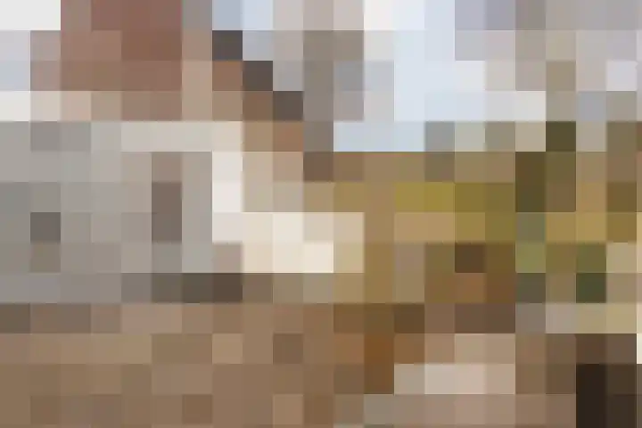 Kelderstraat 4 Stein thumbnail 56