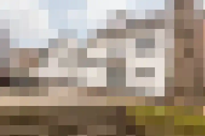 Kelderstraat 4 Stein thumbnail 6