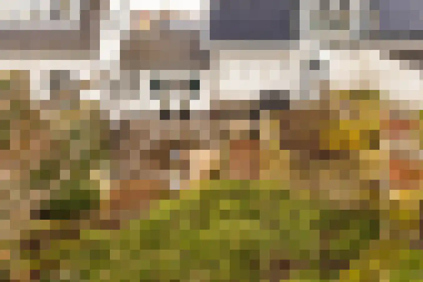 Kelderstraat 4 Stein thumbnail 67