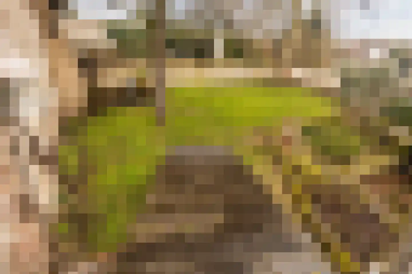 Kelderstraat 4 Stein thumbnail 75