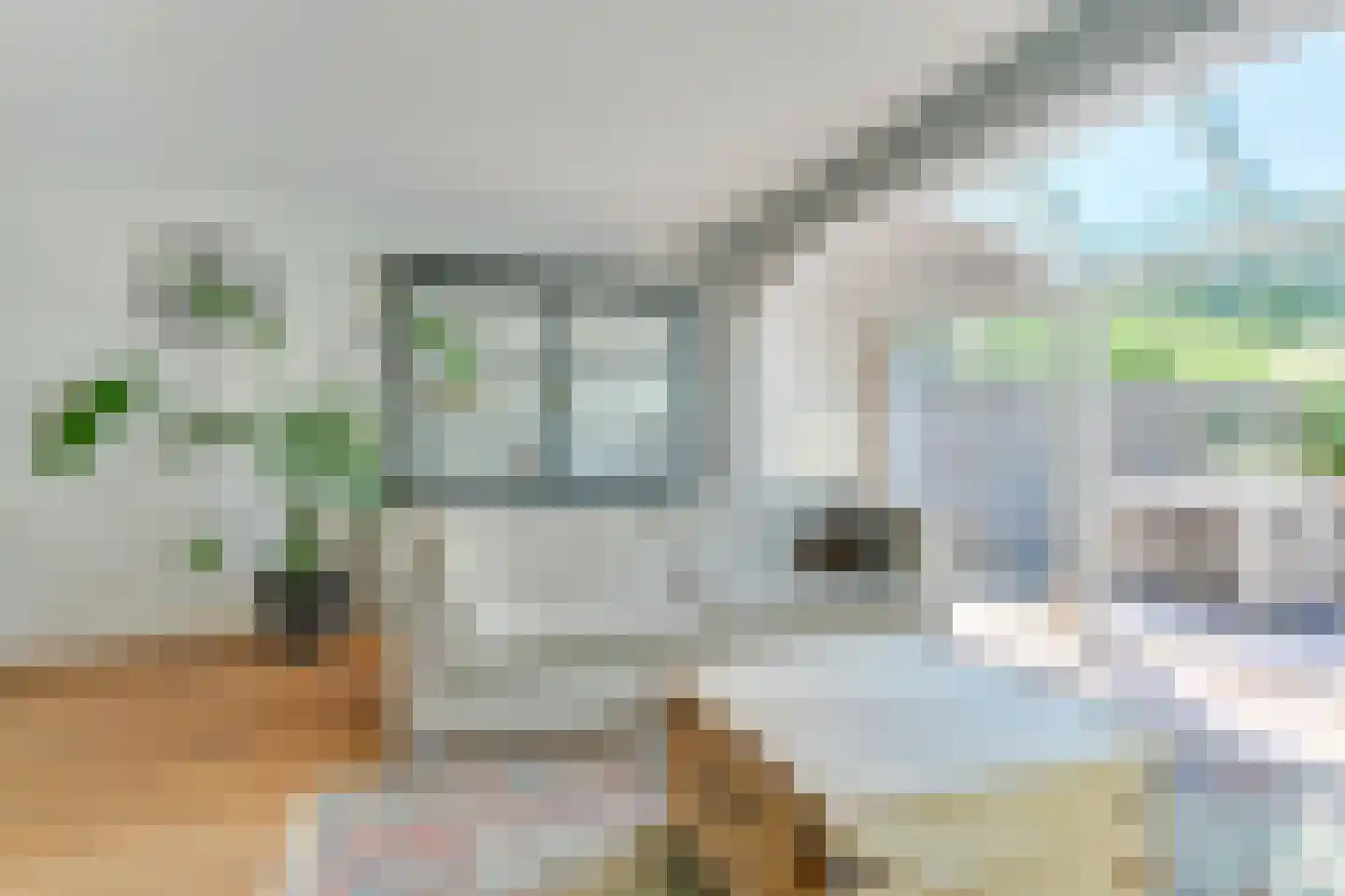 Kelderswerf 49 Obdam thumbnail 11