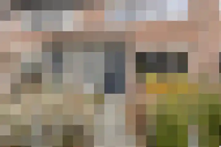 Kelderswerf 52 Obdam thumbnail 10