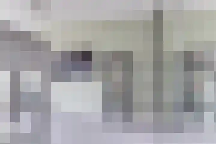 Kelderswerf 60 Obdam thumbnail 20