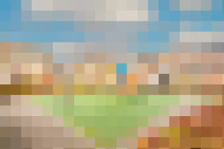 Kelderswerf 60 Obdam thumbnail 52