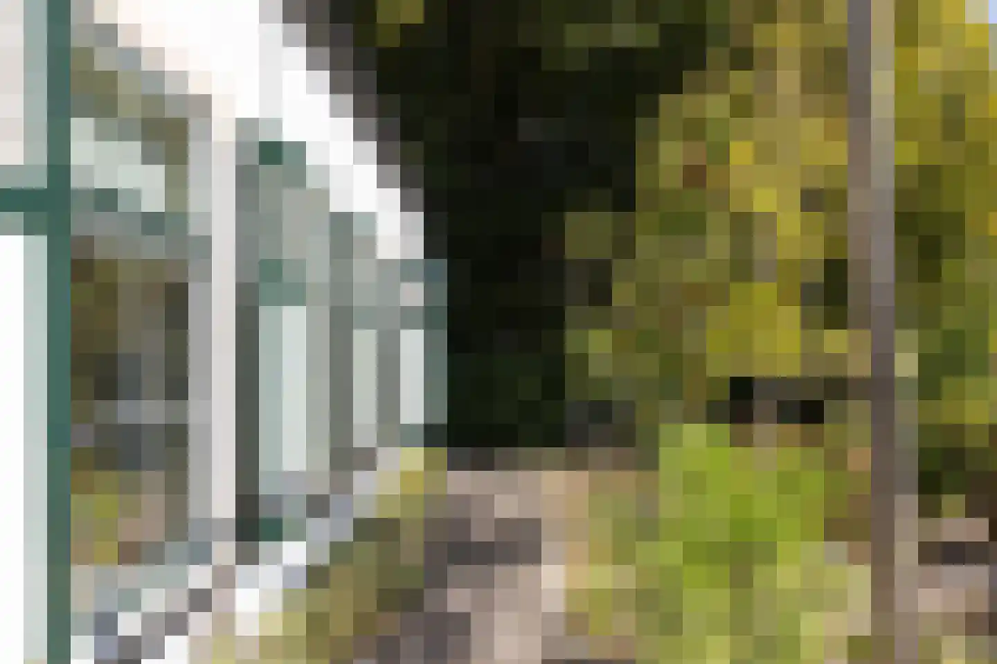 Kelderweg 13 Ouddorp thumbnail 42