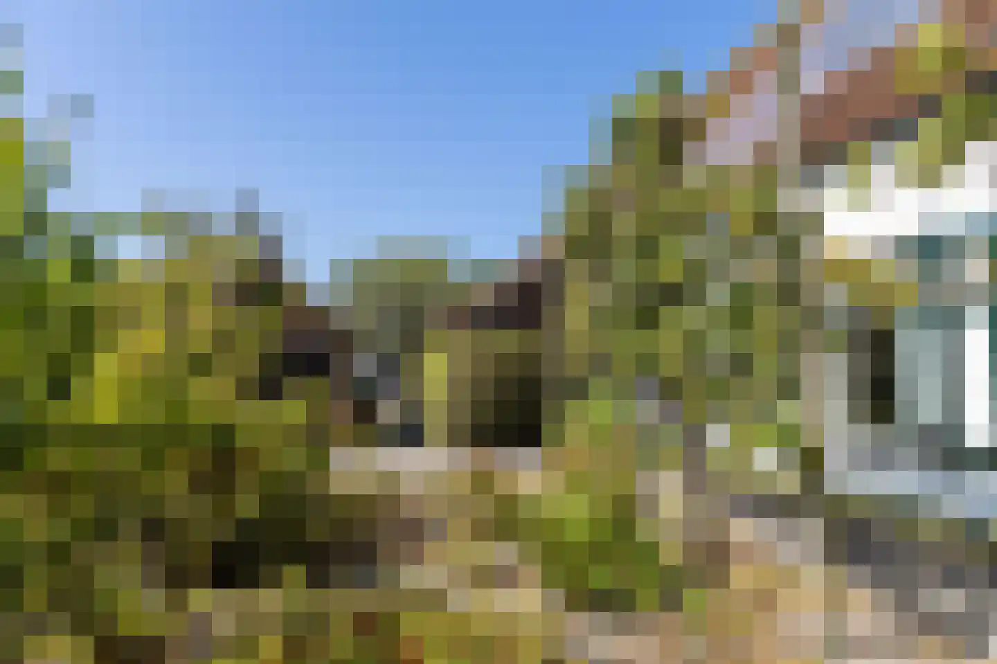Kelderweg 13 Ouddorp thumbnail 43