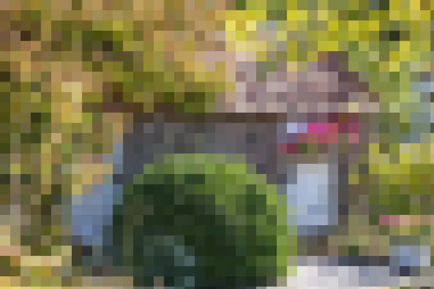 Kelderweg 13 Ouddorp thumbnail 48