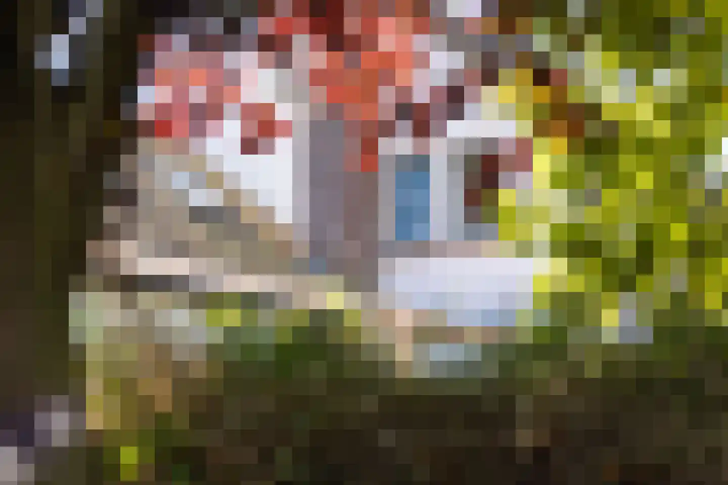 Kelderweg 13 Ouddorp thumbnail 50