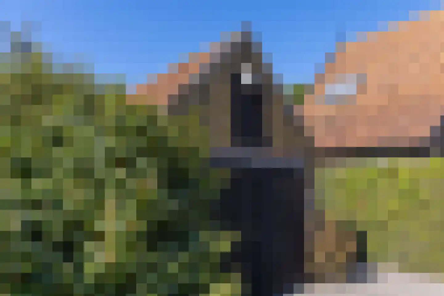 Kelderweg 13 Ouddorp thumbnail 59