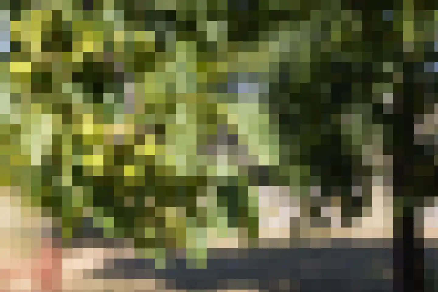 Kelderweg 13 Ouddorp thumbnail 60