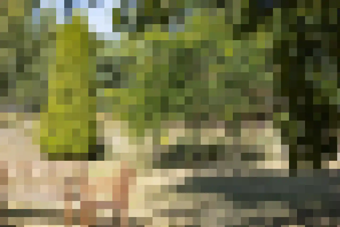 Kelderweg 13 Ouddorp thumbnail 61