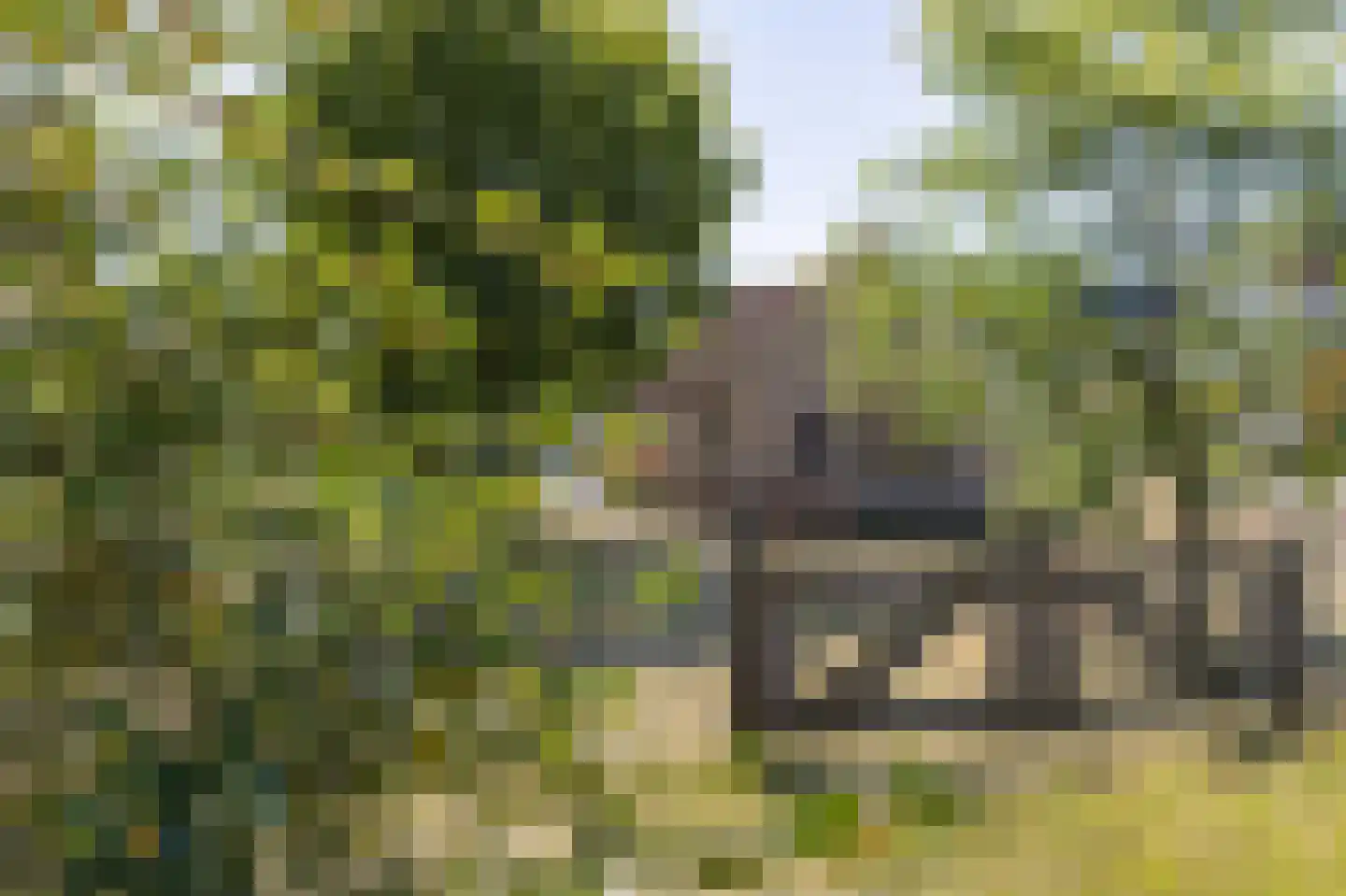 Kelderweg 13 Ouddorp thumbnail 63