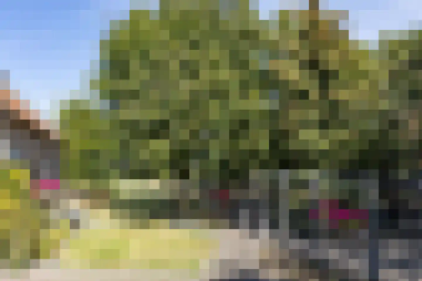 Kelderweg 13 Ouddorp thumbnail 65