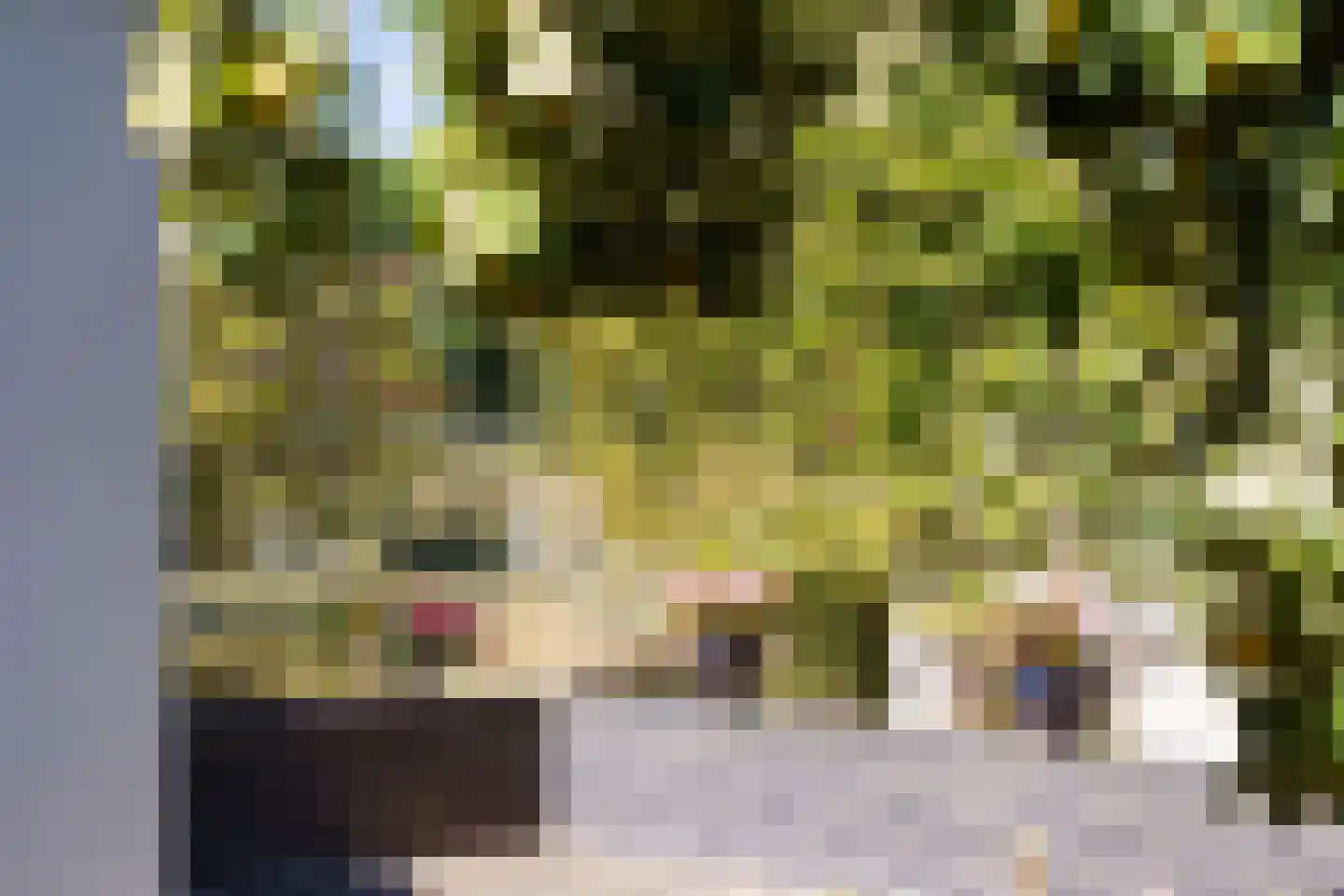 Kelderweg 13 Ouddorp thumbnail 66