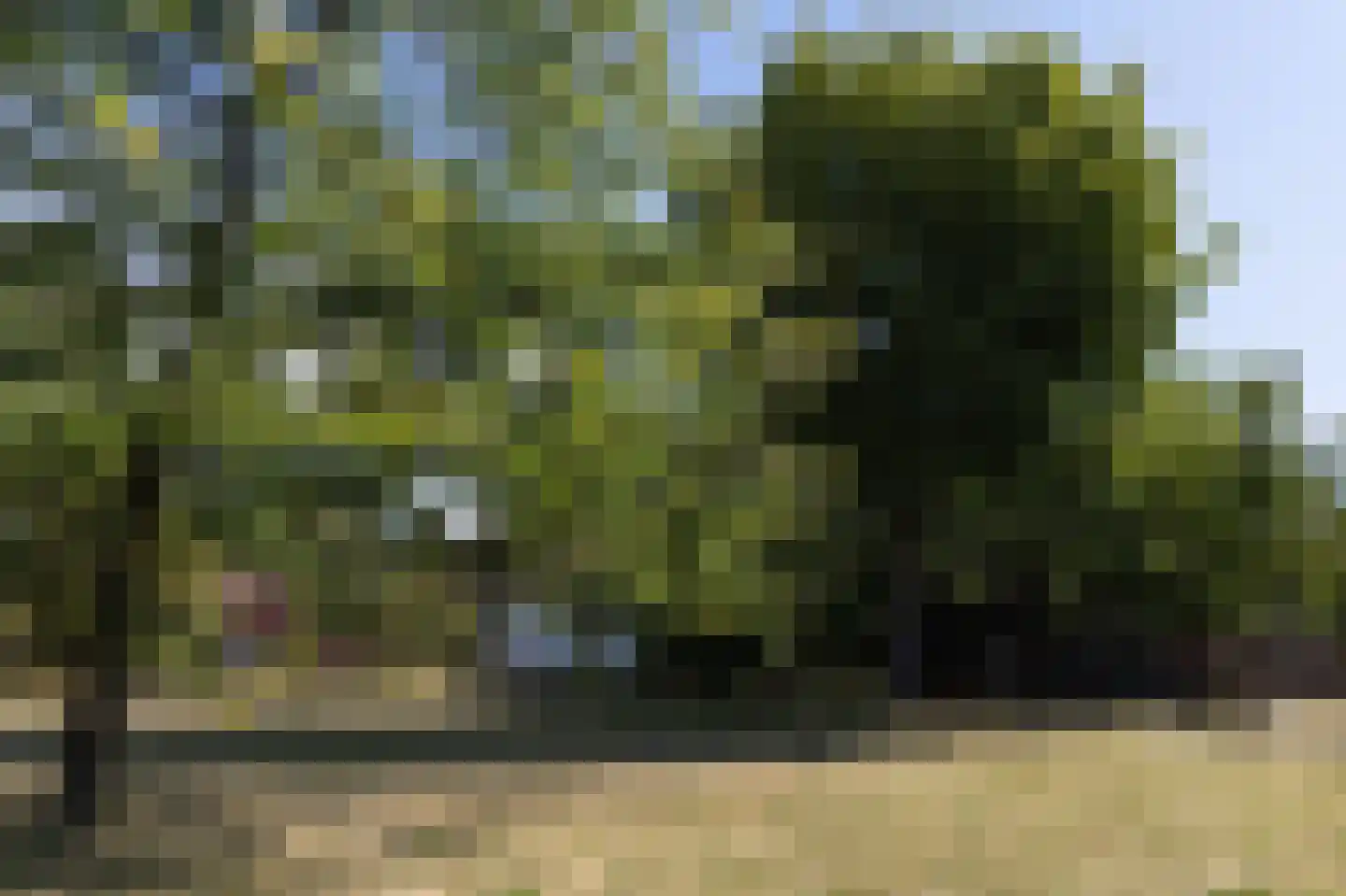 Kelderweg 13 Ouddorp thumbnail 67