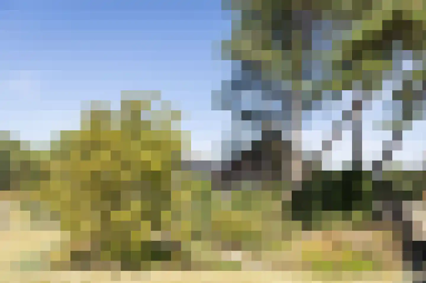 Kelderweg 13 Ouddorp thumbnail 70
