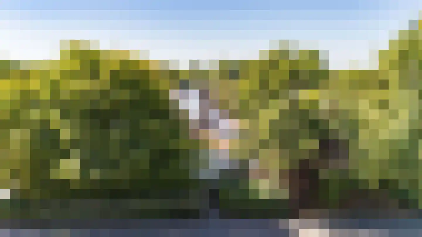 Kelderweg 13 Ouddorp thumbnail 74