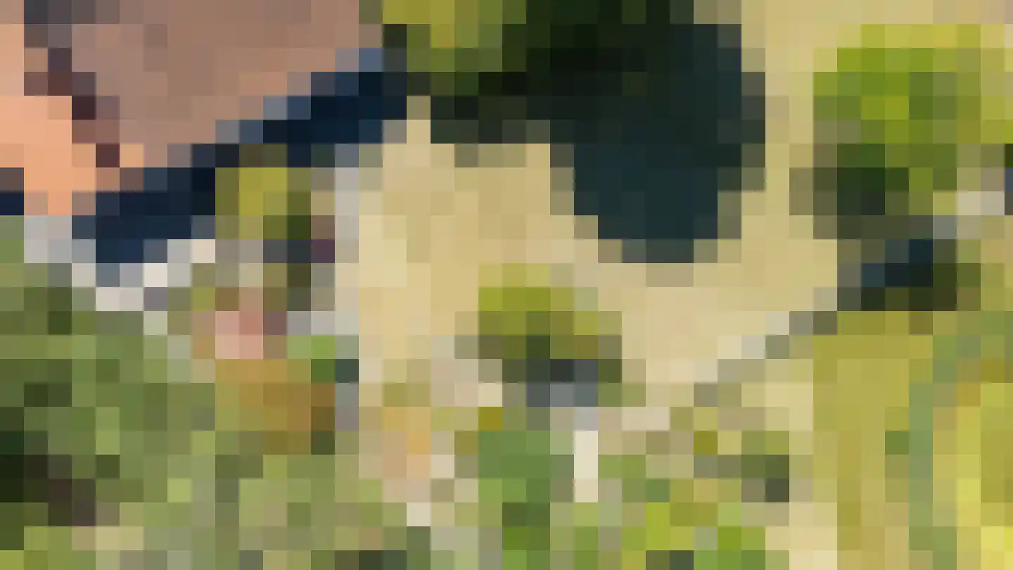 Kelderweg 13 Ouddorp thumbnail 76